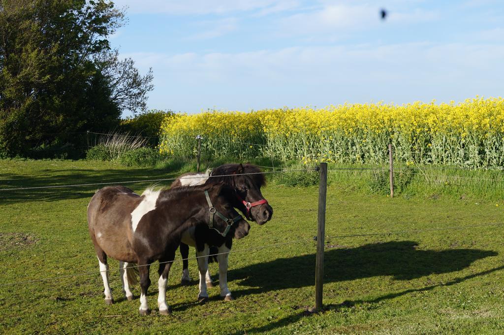 Lokken Farm Holiday Bilik gambar