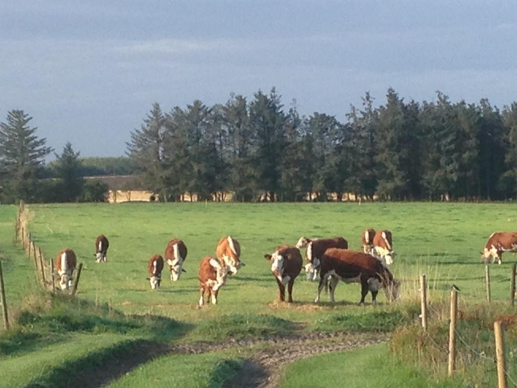 Lokken Farm Holiday Luaran gambar